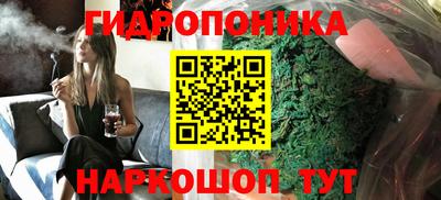 apvp Вышний Волочёк