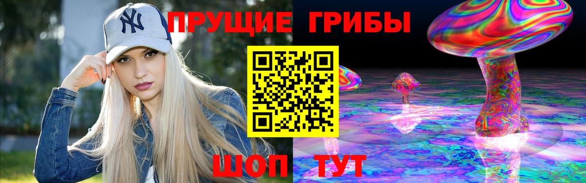 Псилоцибиновые грибы мицелий  Вход с VPN  Бийск  Псилоцибиновые грибы Psilocybe 